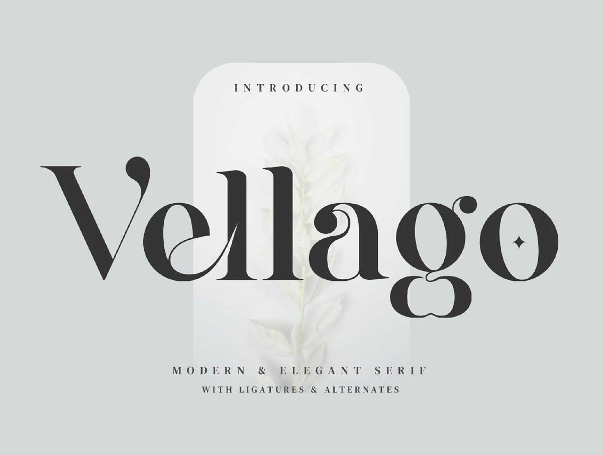 Vellago英文字体设计素材.otf .ttf .woff安装包
