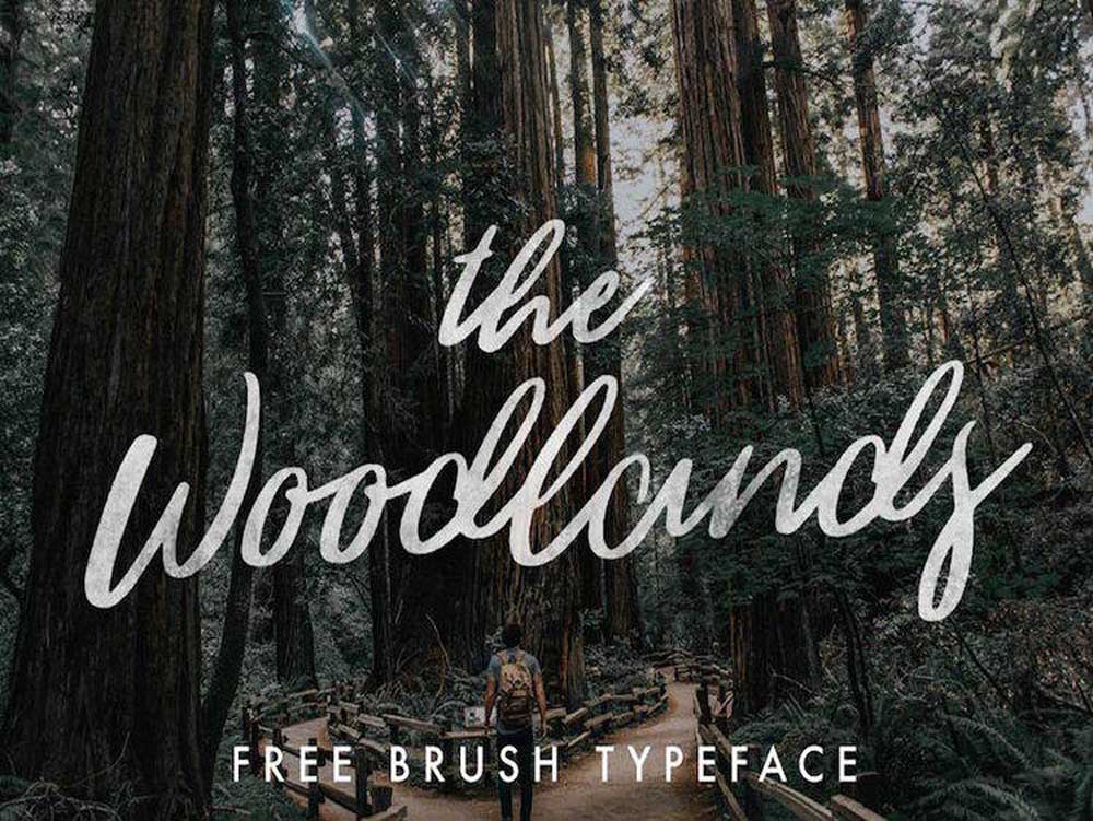Woodlands英文字体设计素材.otf安装包