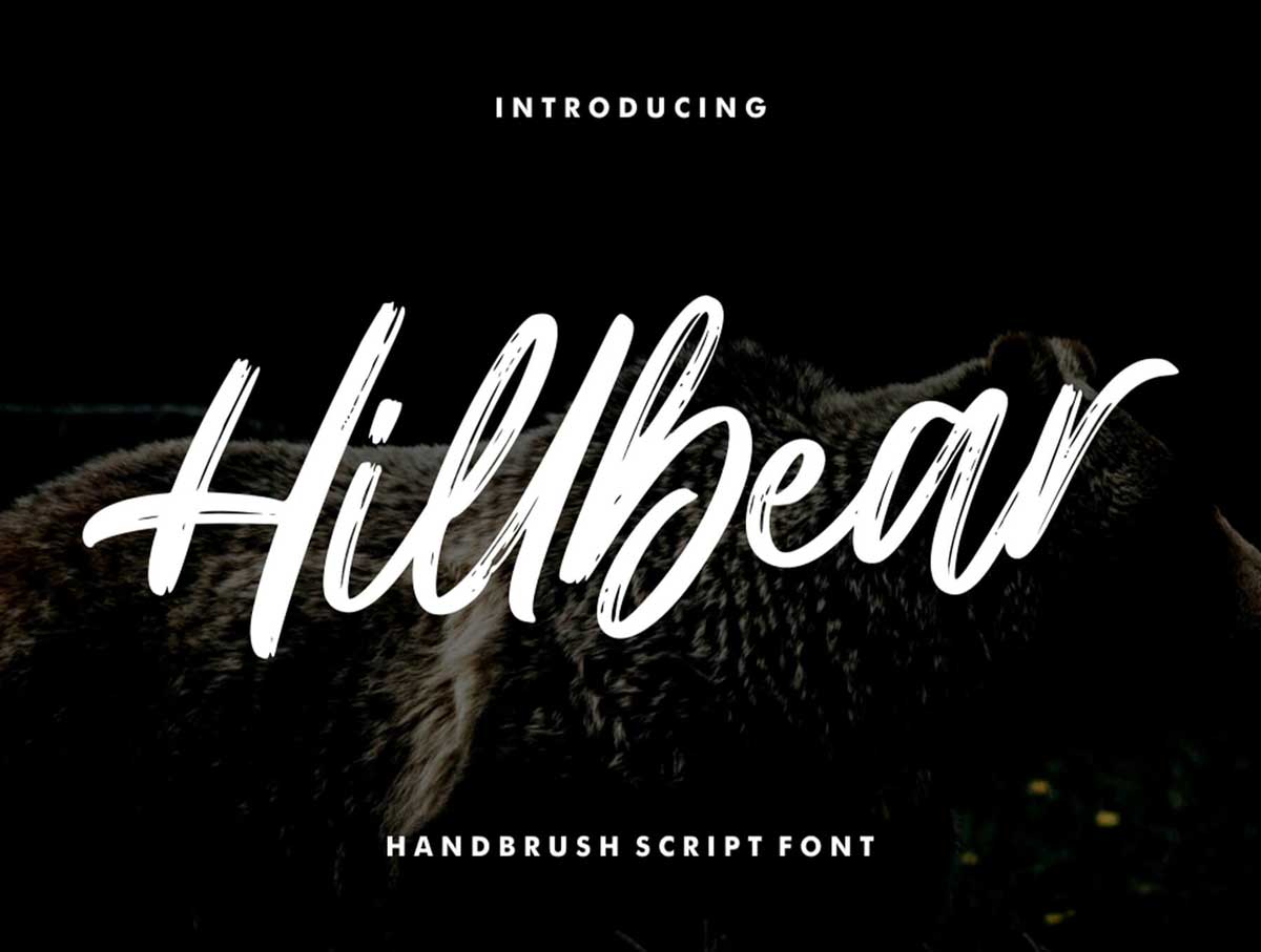 Hillbear英文字体设计素材.otf .ttf .woff安装包